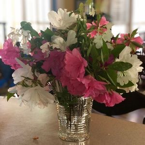 Meet your Posher, Jeanne